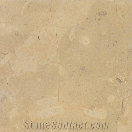 Birzeit Gold Limestone