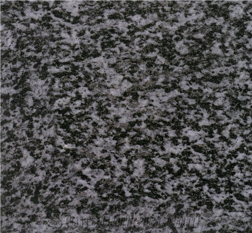 Black-White Grain Granite Slabs & Tiles, China Black Granite