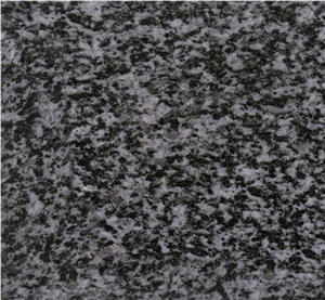 Black-White Grain Granite Slabs & Tiles, China Black Granite