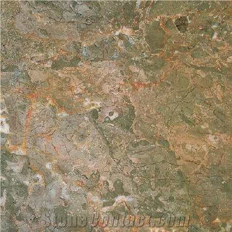 Brecha Tavira Limestone Slabs & Tiles