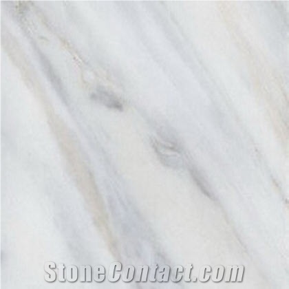 Calacatta Bluette Marble