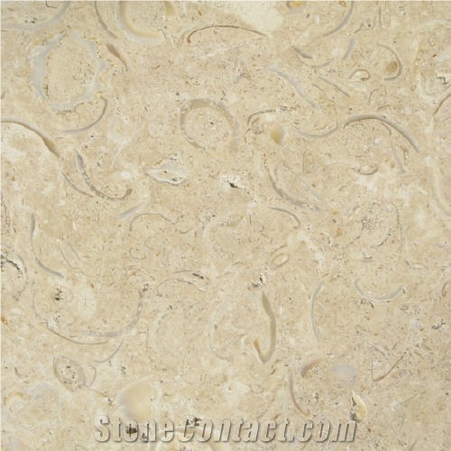 Conchuela Limestone Slabs & Tiles, Mexico Beige Limestone