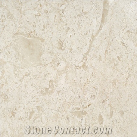 Dino Marble Granite Slabs & Tiles