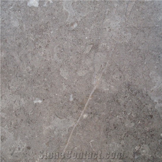 Fossil Gray Limestone