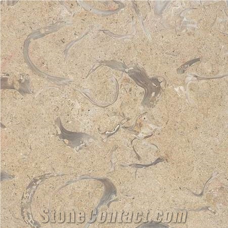 Jerusalem Shells Limestone Slabs & Tiles, Israel Beige Limestone