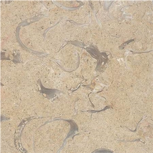 Jerusalem Shells Limestone Slabs & Tiles, Israel Beige Limestone Jerusalem Shells Limestone Slabs & Tiles, Israel Beige Limestone