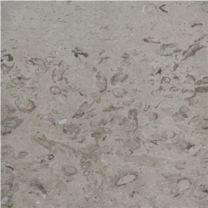 Lipica Fiorito Limestone Slabs & Tiles, Slovenia Grey Limestone Lipica Fiorito Limestone Slabs & Tiles, Slovenia Grey Limestone