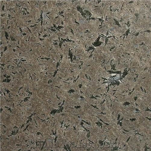 Lunar Eclipse Granite