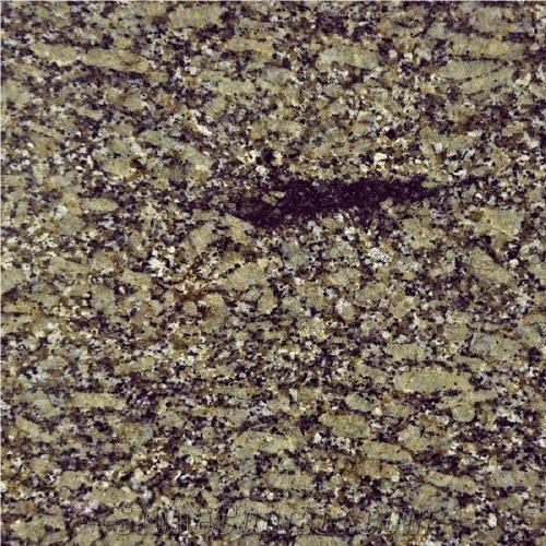 Moss Green Granite Slabs & Tiles, Canada Green Granite