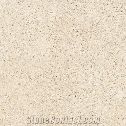 Niwala Crema Limestone