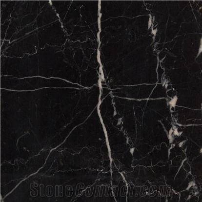 Noir Berbere Marble Slabs & Tiles, Tunisia Black Marble