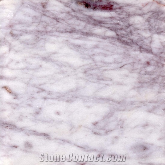 Purple Web Marble