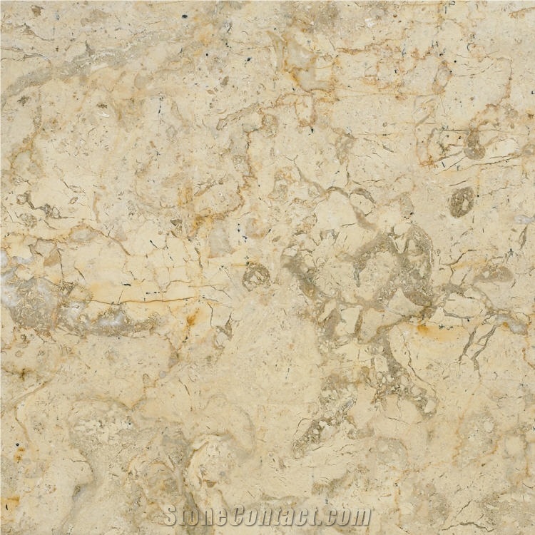 Sahara Gold Limestone