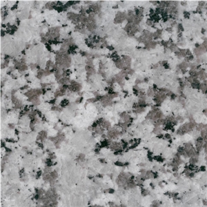 White Jinshan Granite Slabs & Tiles, China White Granite