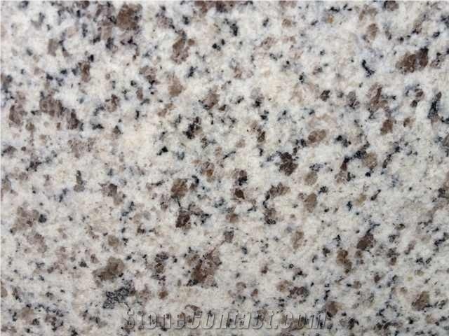 New Brixner Granite, New Grigio Sardo Champagne Granite Slab & Tile