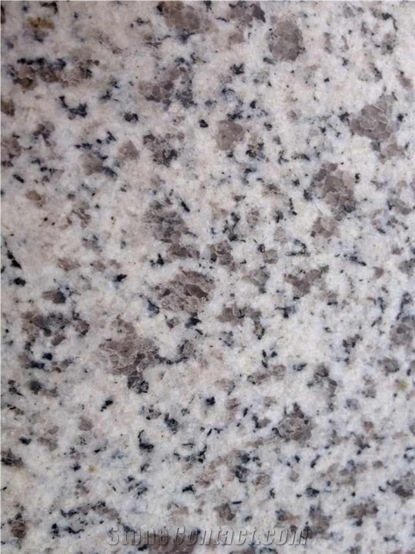 New Brixner Granite, New Grigio Sardo Champagne Granite Slab & Tile