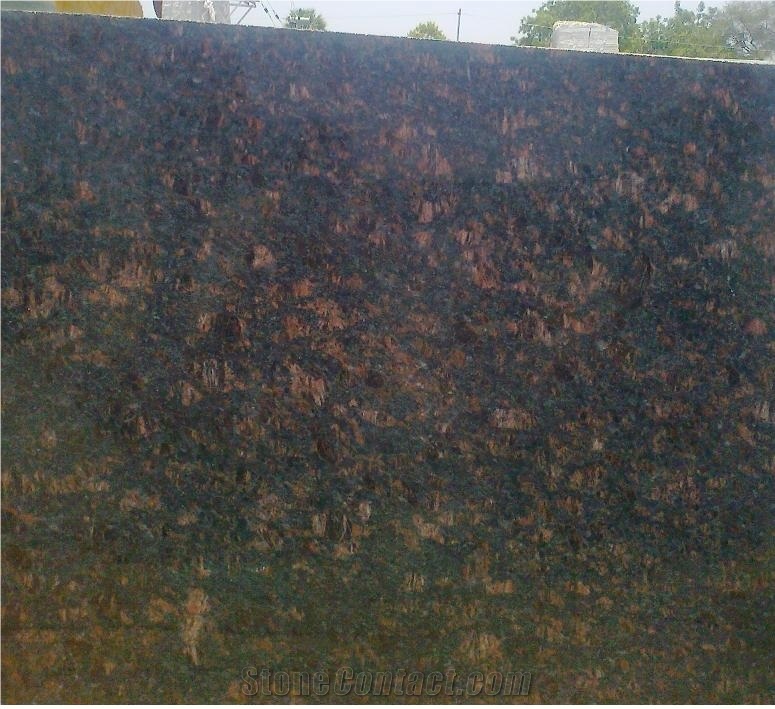 Tan Brown Granite Slabs, India Brown Granite Tile