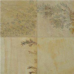 Fossil Mint Sandstone Slabs & Tiles, India Beige Sandstone