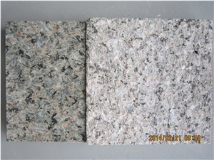 Desert Rose Granite Slabs & Tiles,China Green Granite