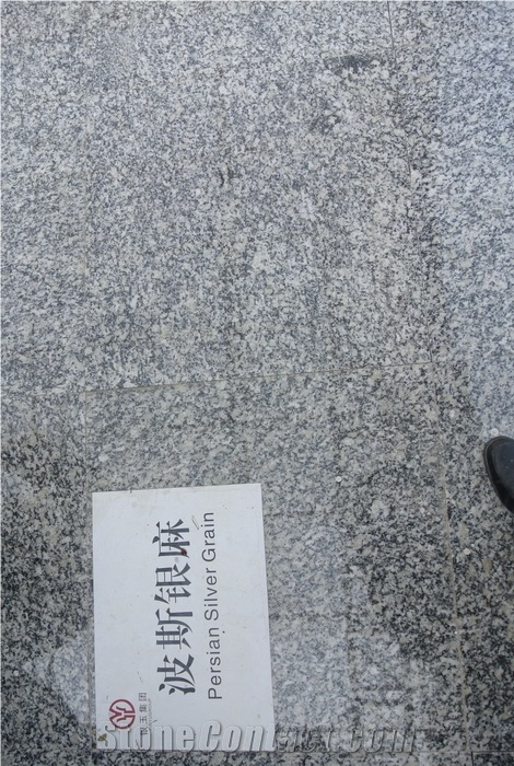 Persian Silver Grain Granite Slabs, Tiles