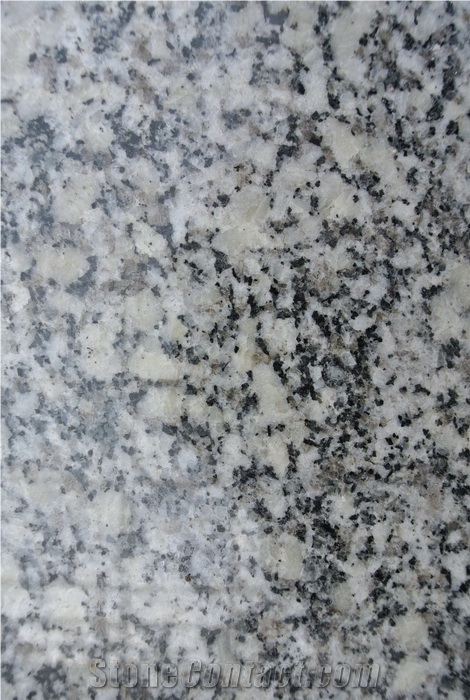 Persian Silver Grain Granite Slabs, Tiles
