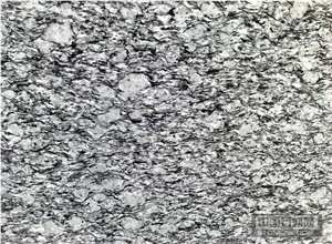 Spary White Grey Granite/The Room Inside and Outside Decoration