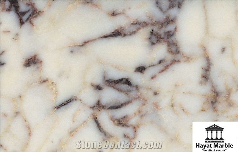 Marble Slabs & Tiles