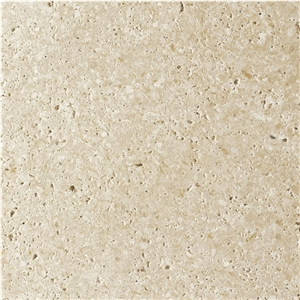Blanco Fossil Limestone Tiles, Spain White Limestone