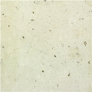Fossil Limestone Tiles