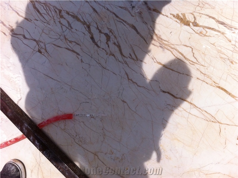 Sofitel Gold Marble Blocks
