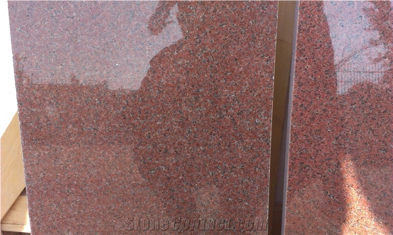 Maple Red Granite Leznykivsky