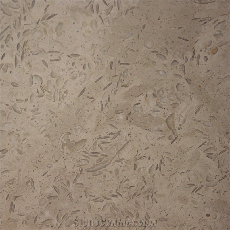 Dark Fossil Beige Limestone
