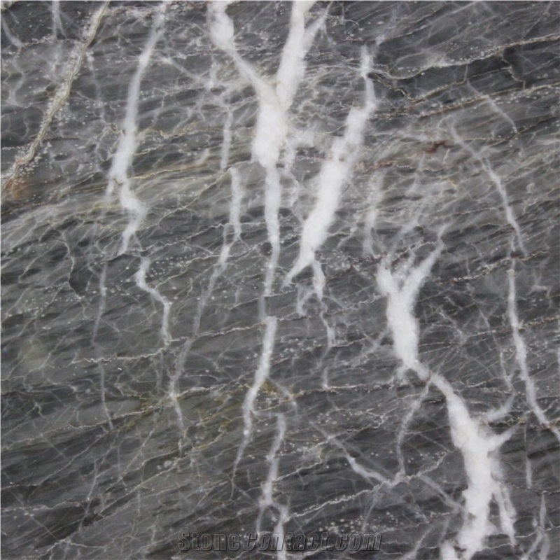 Rome Gray Marble
