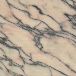 Rosa Lagoa Venado Marble Rosa Lagoa Venado Marble