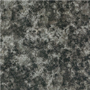 Seabed Black Granite