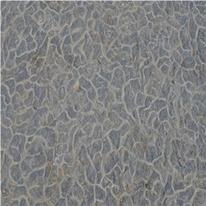Yangtze River Septarium Limestone
