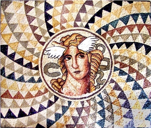 Liparis Mosaic Hand Work