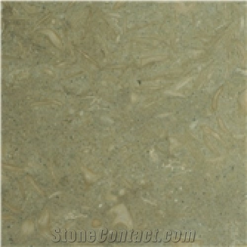 Seagrass Limestone Polished 12x12 Tiles