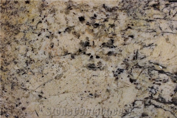 Brazil Absolute Cream Beige & Golden Granite Kitchen Prefab Countertops with Fbn Edge