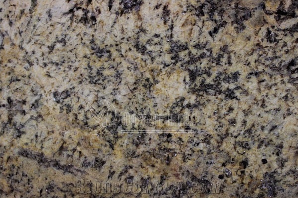 Brazil Absolute Cream Beige & Golden Granite Kitchen Prefab Countertops with Fbn Edge