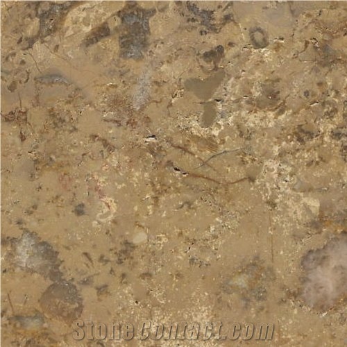Breccia Sinai Dark Slabs & Tiles, Breccia Limestone Slabs & Tiles