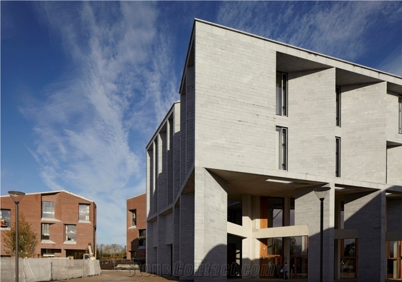 Irish Blue Limestone Sanded and Bush-Hammered Finish Facade