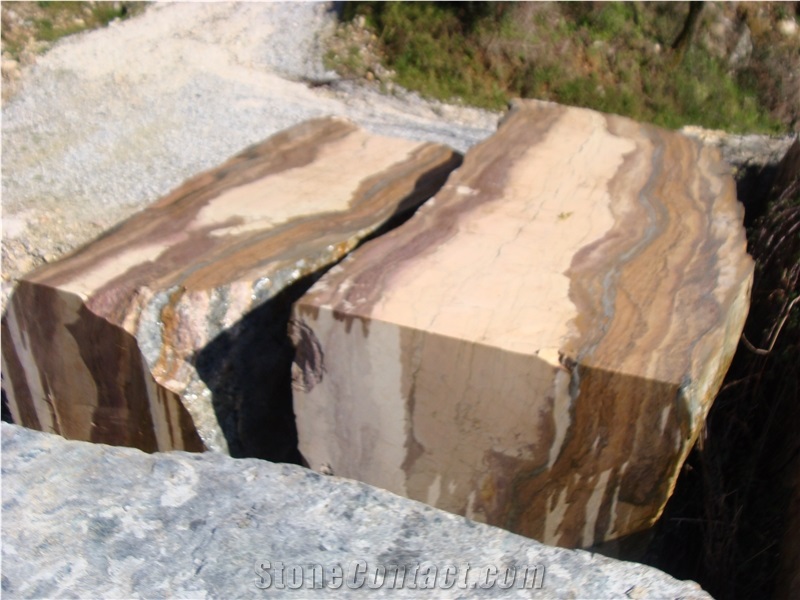 Breccia Medicea Dell Acquasanta