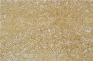 Golden Shell Slabs & Tiles, Shells Reef Gold Limestone Slabs & Tiles Golden Shell Slabs & Tiles, Shells Reef Gold Limestone Slabs & Tiles