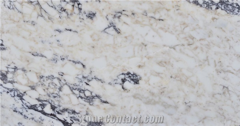 Marble Arabescato Violet Slabs & Tiles