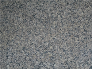 Hassan Green Granite Slabs & Tiles, India Green Granite
