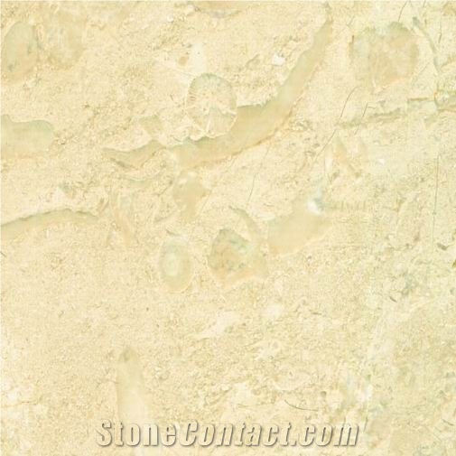 Jurassic Beige Marble