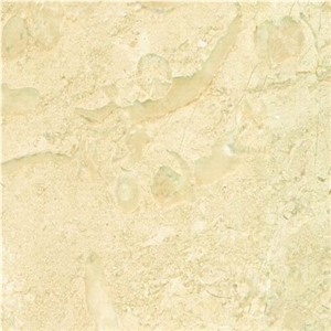 Jurassic Beige Marble