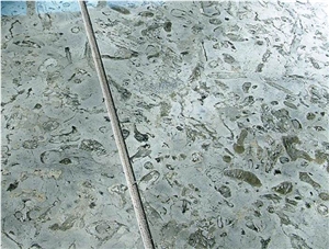 Transylvania Blue Coral Slabs & Tiles, Romania Grey Limestone