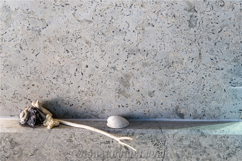 Transylvania Coral Limestone Slabs & Tiles